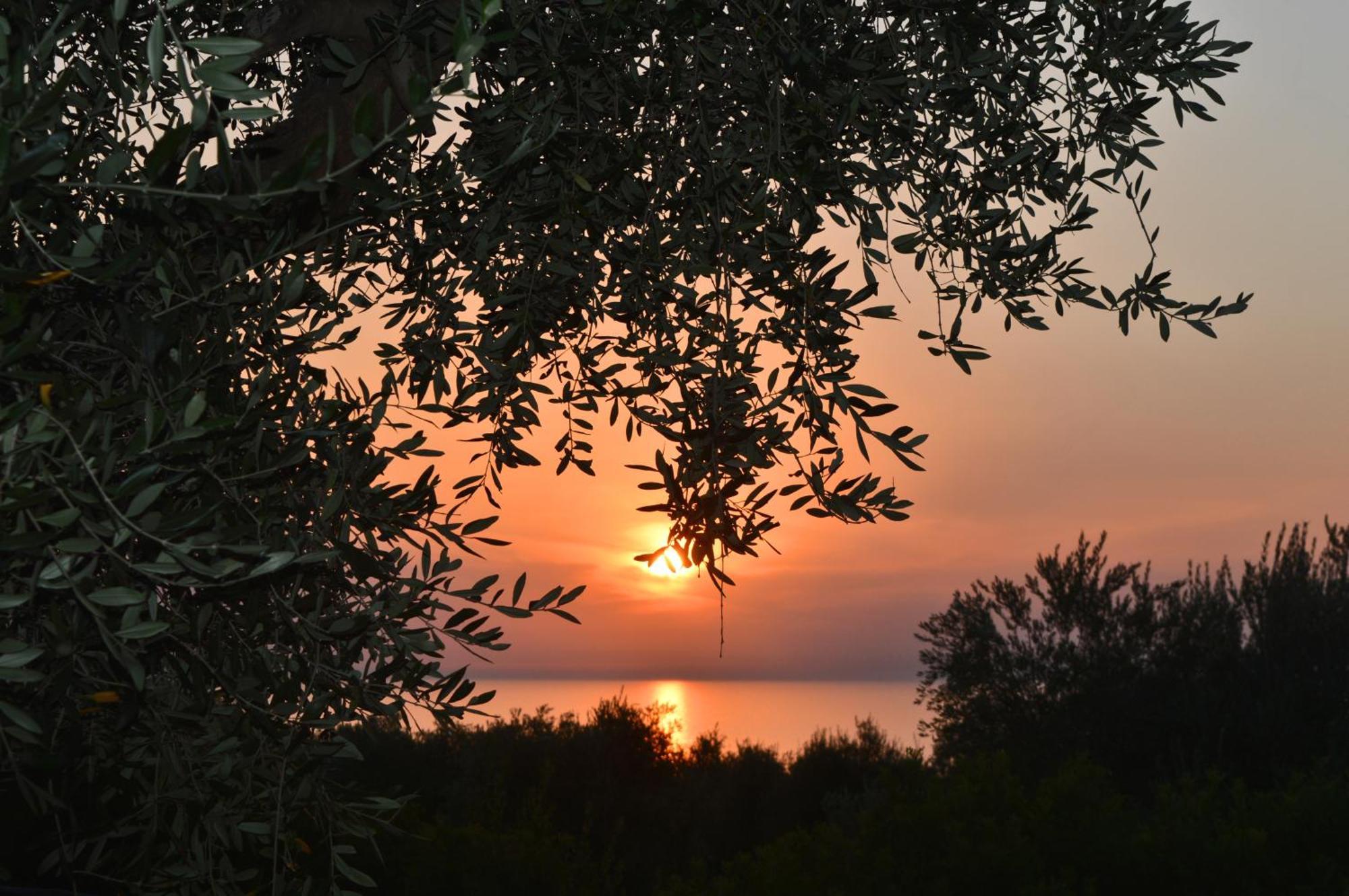 Villaggio Uliveto Rodi Garganico Luaran gambar
